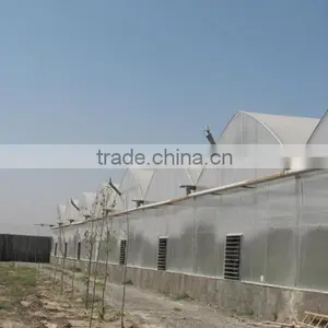 Agriculture Muti-span Greenhouse thumbnail-2