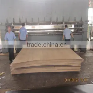 2014high Quality Fancy Plywood thumbnail-1