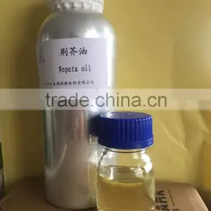 Pure Fineleat Schizonepeta /nepeta Oil Treat a Cold With the Factory Price thumbnail-1