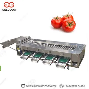 Apple Blueberry Tomato Potato Dates Avocado Cucumber Fruit Vegetables Grading Sorting Machine thumbnail-1