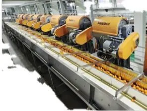 Best Selling Water Spraying Steam Continuous Spraying Sterilizer Machine for Sale thumbnail-3