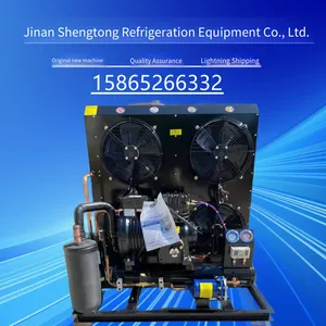 Semi-closed Air-cooled Unit, Piston Copeland Compressor Cold Storage Refrigeration Equipment, Worry-free After-sales Service thumbnail-5