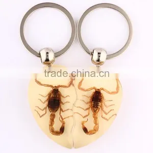 2016 New Keychain With Real Insect thumbnail-3