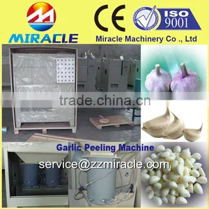 Sale Commercial Type Garlic Peeling Machine From Gold Supplier Garlic Skin Peeler Quality Choice thumbnail-1