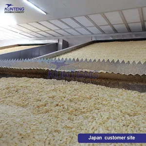 Gas Food Dehydrator Machine Tunnel Dryer Onion Drying Machine Dehydrated Onion Machine Production Line EPC thumbnail-4