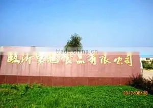 Linyi Dongxu Foods Co., Ltd. company overview - view 2 thumbnail