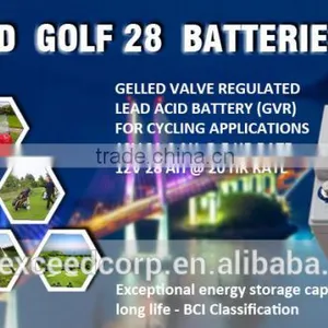 High Quality Long Life 12 V 28 Ah Golf Cart Battery Golf 28 thumbnail-2
