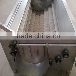 Brush Type Potato Washer thumbnail-6