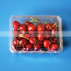Transparent Eco-friendly Plastic Blister Fruit Packing Box Fruit With Hole Quality Choice thumbnail-2
