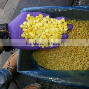 IQF Sweet Corn Cut With Best Quality thumbnail-4