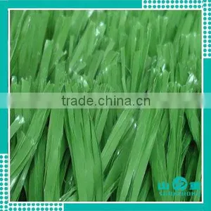 Sport Plastic Grass thumbnail-1