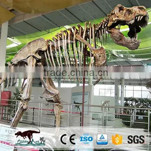 OA-SD-L36 Exhibition Equipment Dinosaur Fossil Skeleton Replica thumbnail-2