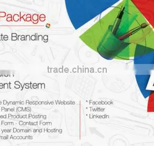 Website Customization and Website Designing thumbnail-1