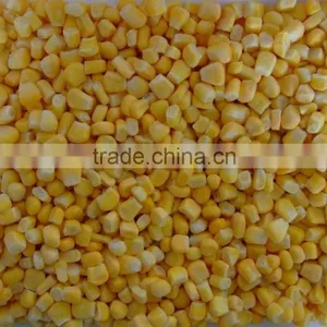 2015 New Crops IQF Frozen Whole Sweet Corn Kernels thumbnail-2