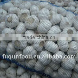 Chinese Garlic 2012 Crop thumbnail-1