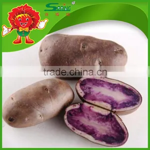 Sweet Purple Potato thumbnail-2