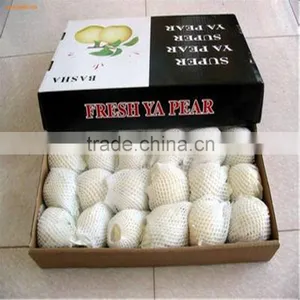 Healthy Ya Pear From China thumbnail-1