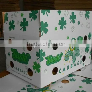 Manufacture Box for Fresh Cabbage thumbnail-3