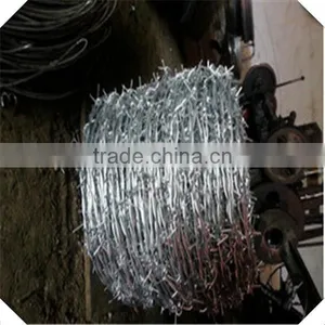 Galvanized Barbed Wire for Sale / Galvanized Barbed Wire Fence Factory thumbnail-1