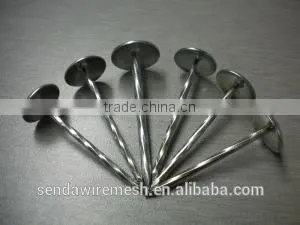 3" Umbrella Roofing Nails/construction Roofing Nails and Building Material Nails thumbnail-1