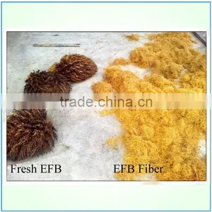 45-55KW Palm EFB Long Fibre Making Machine (long Fibers to Make Palm Mattress) thumbnail-5