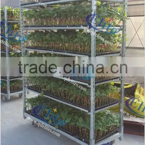 16 Nursery Flower Trolley, Garden Flower Trolley, Flower Transporter TC4622 thumbnail-2