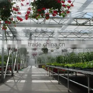 Factory Price Commercial Greenhouse Plastic thumbnail-4
