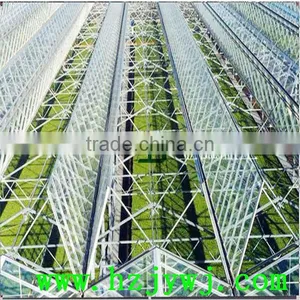Open the Top Glass Greenhouse thumbnail-1