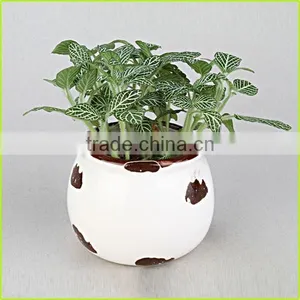 Cute Silicone Flower Pot/planter thumbnail-4