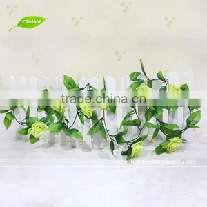 GNW FLV09 Indian Rose Flower Use for Balloon Flower Root Extract or Other Occasion thumbnail-2