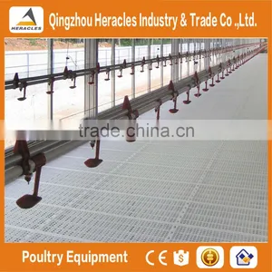Trade Assurance Equipment Poultry Chicken Farming Materials--flooring Feeding and Drinking Equipment thumbnail-6