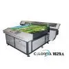 Inkjet Printing Machine thumbnail-1