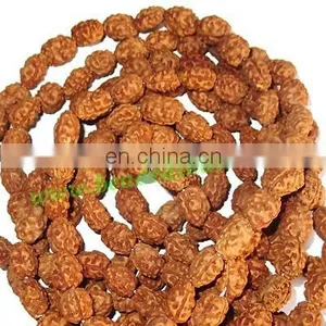 Rudraksha Beads String (mala) 2 Mukhi (two Face), Size: 8mm Thickness thumbnail-1