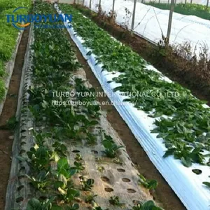 Biodegradable Reflective Silver/black pe Plastic Mulch Film for Japan thumbnail-5