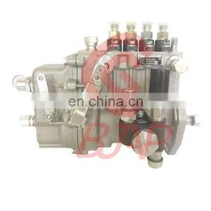 XI Injection Pump BHF4PL080040 4PL1169-80-750 for KDE Kipor KDE20SS3 Generator thumbnail-1