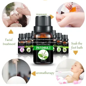 Food and Medicine Grade Patchouli Oil Chinese Medicinal Oil Plant Essential Oil Massage Oil thumbnail-3