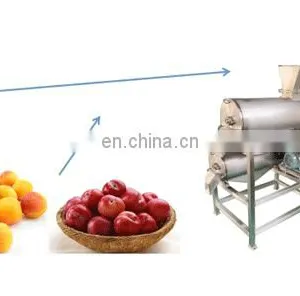 Electric Industrial Apple Peach Apricot Juicer Extractor Seeds Removing Pulp Machine thumbnail-5