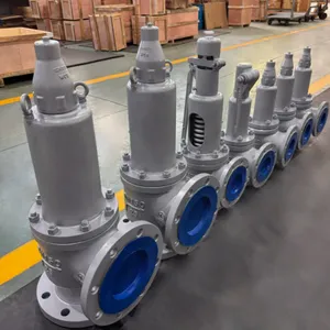 Stainless Steel Safety Valve A42y With Certificates From Major Classification Societies Such as Ccs, Lr, Bv, Abs, Etc. thumbnail-2