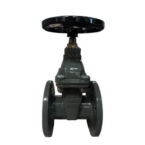 BS Rising Stem Resilient Seat Gate Valve Flanged End PN16 PN25 thumbnail-1