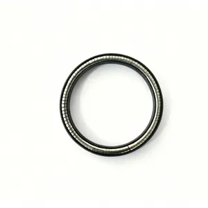 Hydraulic Cylinder Rubber Seals | High Pressure Hydraulic Sealing Solutions thumbnail-1