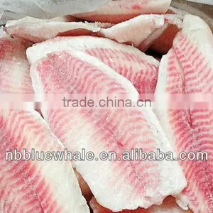 Black Tilapia Tilapia WR Whole Round thumbnail-1