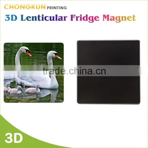 Funny Design Animal Picture Printed Cat Fridge Magnets thumbnail-1