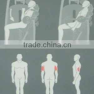 Gym Fitness Equipment /Seated Tricep Extension TZ6011 /Professional Bodybuilding Machine thumbnail-3