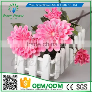 Greenflower 2016 Barberton Daisy Real Touch Two Herbaceous Peony Wedding Decrations Flowers thumbnail-3