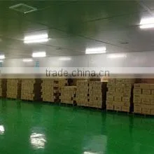 Jiangmen Inbright Lighting Co., Ltd. company overview - view 2 thumbnail