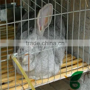 Factory Price Pet Rabbit Cages thumbnail-1