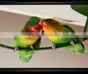 4:3 200" Fixed Frame Projection Screen / Projector Screen / Fixed Screen thumbnail-1