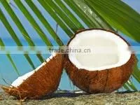 Todays Coconut Price in TamilNadu thumbnail-1