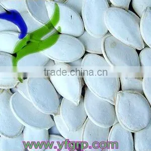 Pumpkin Seeds Price thumbnail-1