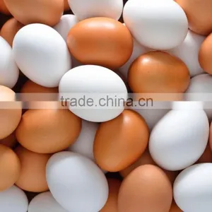 Fresh Table Eggs White and Brown thumbnail-1